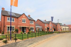 bellway meadows 12.jpg